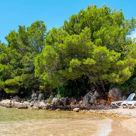 Cozy And Chic Little House With Pool Ivinj - 3 * 迪斯诺